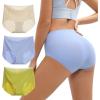 imageINNERSY Womens Seamless No Show Underwear Quick Dry Panties Nylon Briefs 3PackSky Meadow